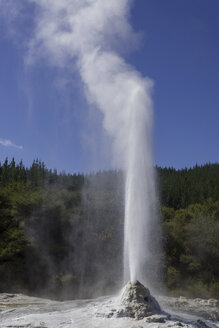 Neuseeland, Blick auf den Lady Knox Geysir im Waiotapu Thermal Park - MR001411