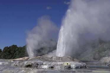 Neuseeland, Blick auf den Pohutu-Geysir bei Whakarewarewa - MR001412