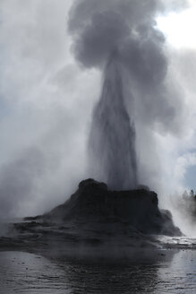 Blick auf den Castle Geysir im Yellowstone National Park - MR001434