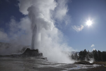 Blick auf den Castel Geysir im Yellowstone National Park - MR001433