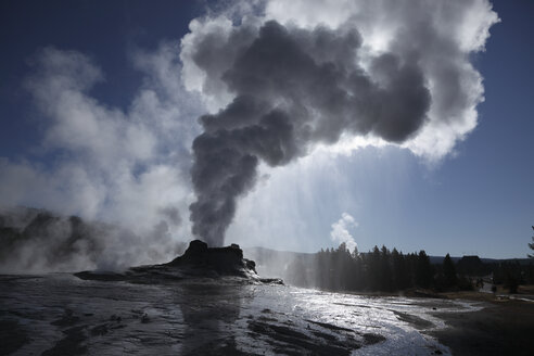 Blick auf den Castel Geysir im Yellowstone National Park - MR001432