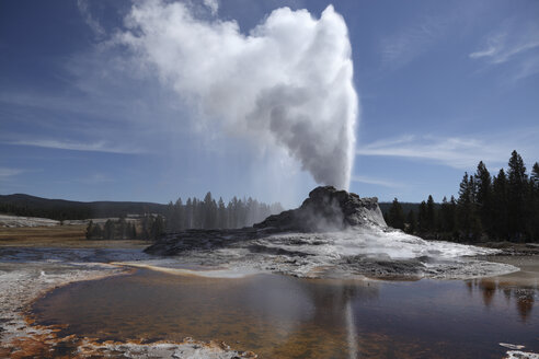 View of Castle Geyser at Yellowstone National Park - MR001352