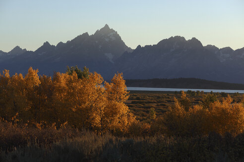 Blick auf die Teton-Bergkette im Yellowstone-Nationalpark - MR001356