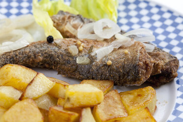 Fried herring with roasted potatoes and onions on a plate - CSF018794