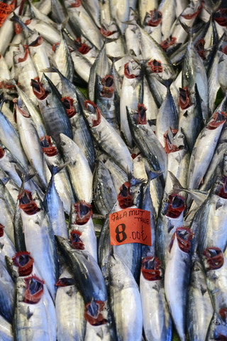 Türkei, Istanbul, Frischer Fisch, Nahaufnahme, lizenzfreies Stockfoto