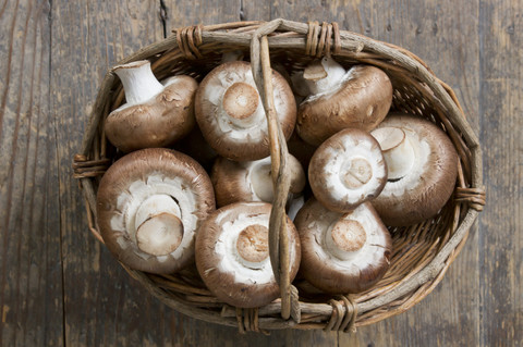 Korb mit Agaricus-Pilzen, lizenzfreies Stockfoto