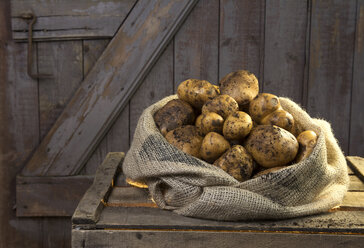 Deutschland, Kartoffeln im Sack auf Holz - ONF000144