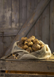 Germany, Potatoes in sack on wood - ONF000146