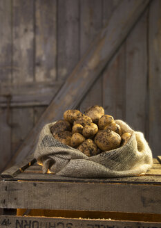 Germany, Potatoes in sack on wood - ONF000146