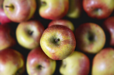 Germany, apples, close up - ONF000148