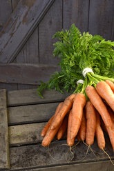 Germany, Bunch of carrots on wood - ONF000150