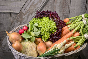 Germany, Carrots, asparagus, celery, onions, garden radish, chives in basket - ONF000153