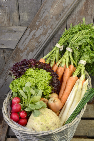 Germany, Carrots, asparagus, celery, onions, garden radish, chives in basket stock photo
