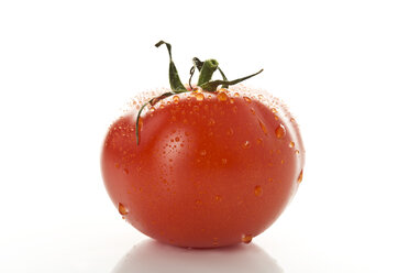 Tomato on white background, close up - MAEF006491