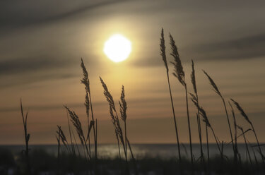 Deutschland, Mecklenburg Vorpommern, Blick auf die Ostsee bei Sonnenuntergang - JTF000368