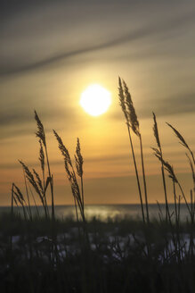 Deutschland, Mecklenburg Vorpommern, Blick auf die Ostsee bei Sonnenuntergang - JTF000367