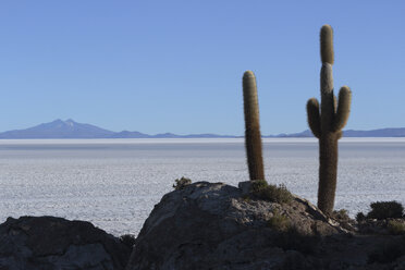 Bolivien, Blick auf den Salar de Uyuni und die Isla del Pescado - RM000525