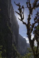Venezuela, Blick auf den Berg Roraima - RM000573