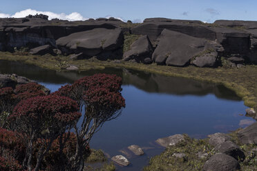 Venezuela, Blick auf den Gladyssee am Roraima Tepui - RM000581