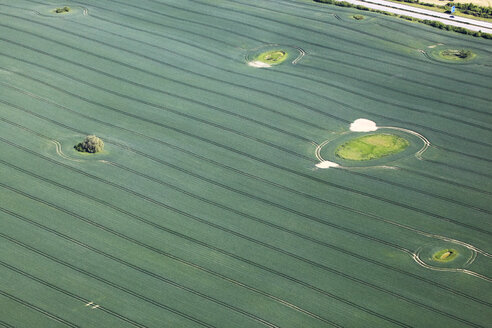 Deutschland, Blick auf eine grüne Wiese mit Kreisen bei Hartenholm - FBF000008