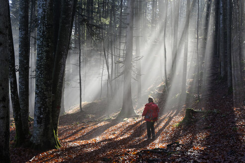 Deutschland, Bayern, Blick auf reife Frau beim Wandern im Wald - LB000026