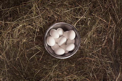 Edelstahlschüssel mit Eiern auf Strohhalm, lizenzfreies Stockfoto
