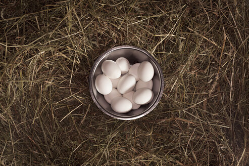 Stainless steel bowl with eggs on straw - KJF000223