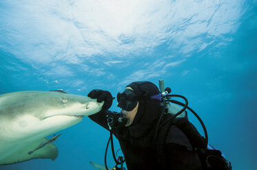 Bahamas, Taucher spielt mit atlantischem Zitronenhai - GNF001251