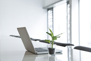 Germany, North Rhine Westphalia, Cologne, Laptop and potted plant on conference table - FMKF000744