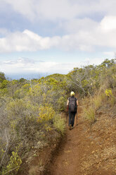 USA, Hawaii, Woman walking through trail - SKF001270