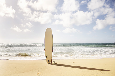 USA, Hawaii, Mid adult woman standing with surfboard by beach stock photo