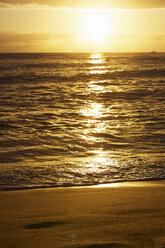 USA, Hawaii, View of beach at sunset - SKF001262