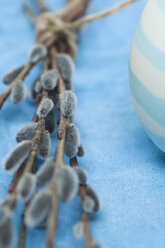 Easter eggs with willow twigs on cloth - AS004914