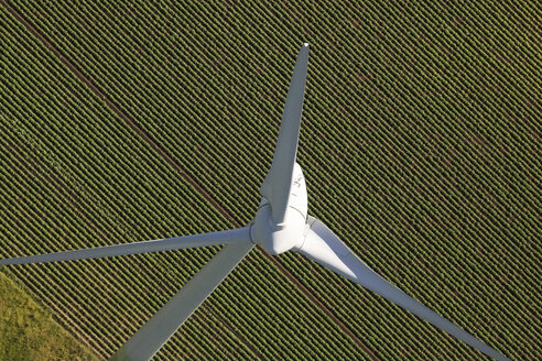 Germany, View of wind turbine - FB000038