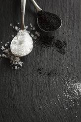 Löffel mit Meersalz und schwarzem Salz, Nahaufnahme - EVG000094
