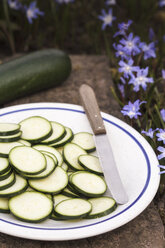 Teller mit geschnittenen Zucchini mit Messer, Nahaufnahme - EVG000100