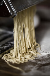 Fresh pasta coming out of machine, close up - SBD000057