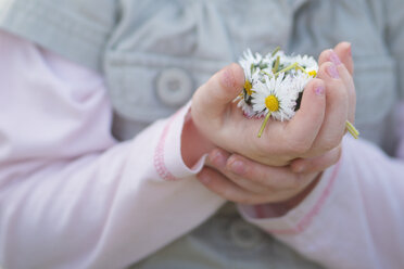 Germany, Girl holding daisies, close up - MHF000176
