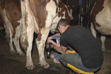 Deutschland, Baden Württemberg, Reifer Mann und Junge melken Kuh mit Hilfe einer Maschine - LA000047