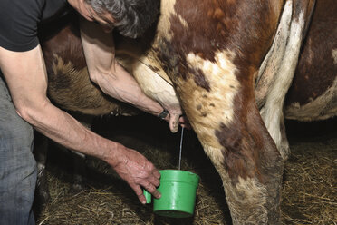 Deutschland, Baden Württemberg, Älterer Mann beim Melken einer Kuh - LA000051
