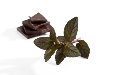 Chocolate and peppermint on white background, close up - CSF018973