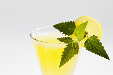 Lemonysop mit Glas Limonade auf weißem Hintergrund, Nahaufnahme - CSF019084