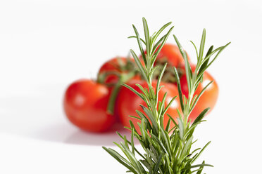 Rosmarinkraut mit Tomaten auf weißem Hintergrund, Nahaufnahme - CSF019077