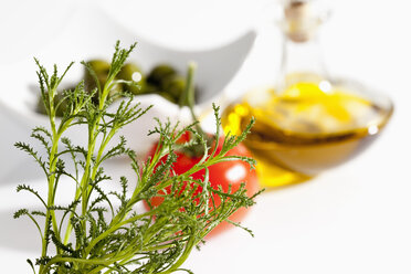 Olivenkraut mit Tomate, Oliven und Olivenöl auf weißem Hintergrund, Nahaufnahme - CSF019014
