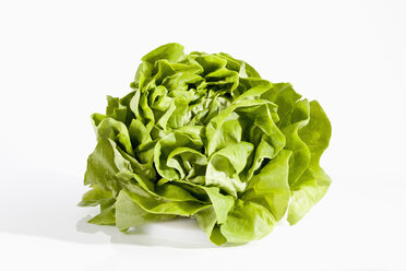 Lettuce on white background, close up - CSF018996