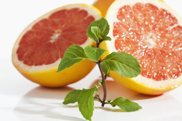 Grapefruit-Minze mit Grapefruits auf weißem Hintergrund, Nahaufnahme - CSF018951