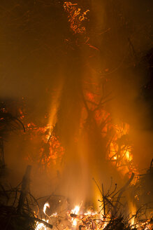 Deutschland, Waldbrand in Heilbad Heiligenstadt - SJ000023