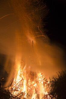 Deutschland, Waldbrand in Heilbad Heiligenstadt - SJF000024