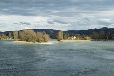Schweiz, Blick auf den Rhein mit den Werd-Inseln - ELF000009