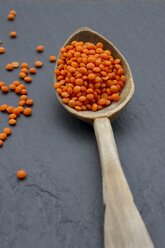 Split red lentils on wooden spoon, close up - LV000057